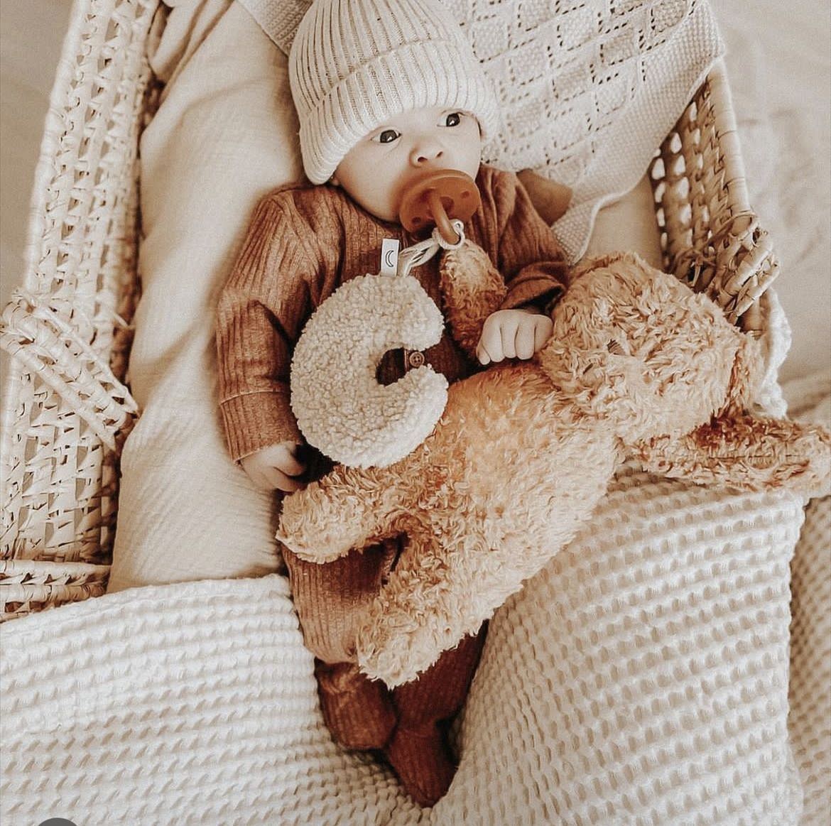 Soporte para chupete de peluch - Baby Products Nipples reseña y precio